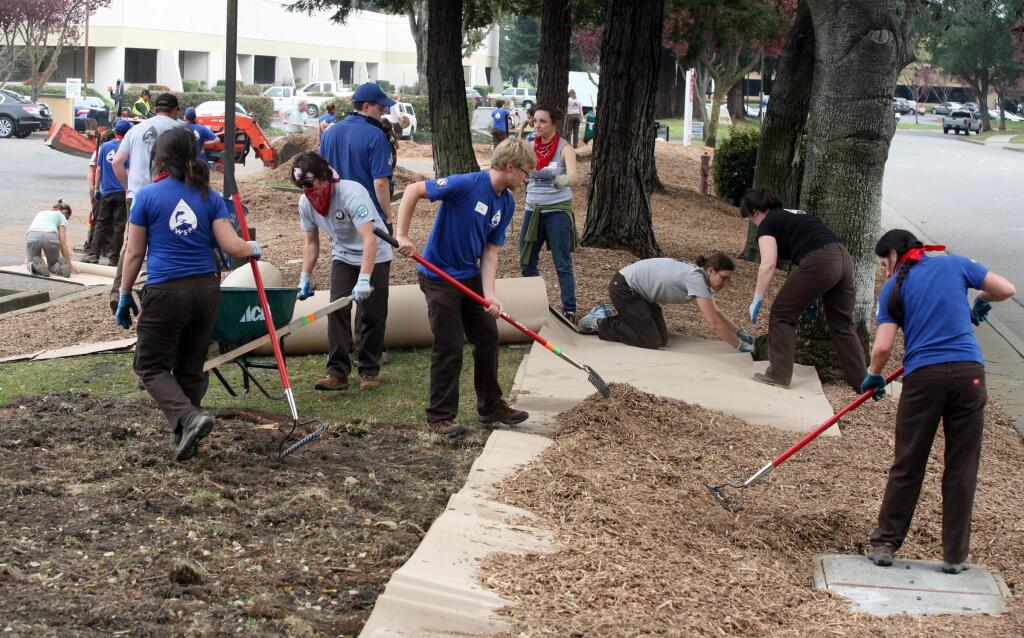 50 Ameri Corps volunteers under the direction of Daily Acts work to cover 10,000 sq feet lawn areas with cardboard and mulch in front of Xandex on Redwood Way in Petaluma on Tuesday, March 10, 2015. (SCOTT MANCHESTER/ARGUS-COURIER STAFF)
