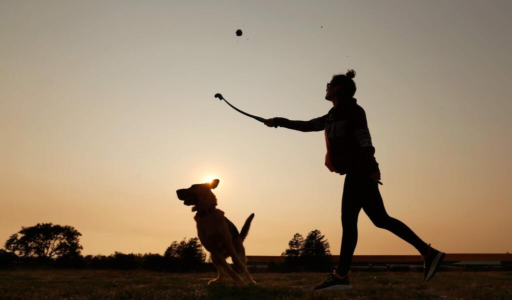 The sun sets behind layers of haze, a result of the recent Northern California wildfires, as Noemi Gonzalez plays with her dog at the Deer Creek Village dog park in Petaluma, California, on Wednesday, Aug. 8, 2018. (ALVIN JORNADA/ PD)