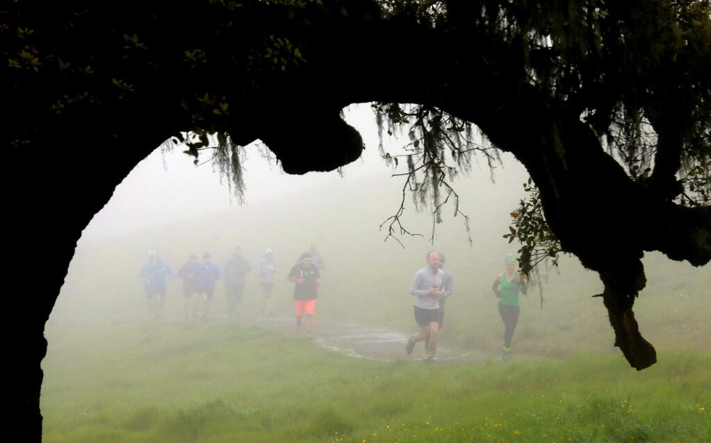 A group of Sonoma County trail runners head up to the top of Taylor Mountain on Saturday morning. The SonomaStrong Parks Restoration Challenge group hopes to raise money for parks devastated by recent fires. (Photo by John Burgess/The Press Democrat)