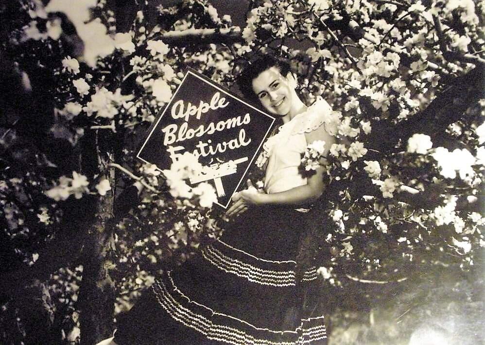 Sebastopol had been celebrating its apple heritage since the early 1900s. Click through our gallery on the early days of the apple industry as we get ready to celebrate the 71st annual Apple Blossom Festival. In this photo a young woman holds a sign advertising the 1950 Apple Blossoms Festival. (Courtesy of the Sonoma County Library)