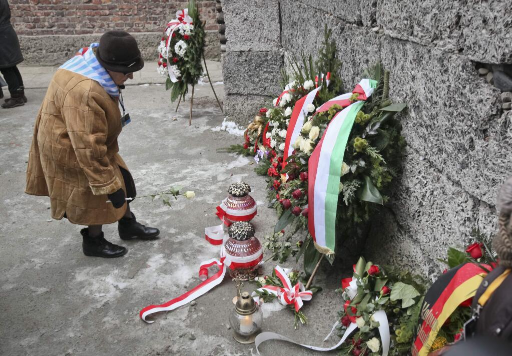 A Holocaust survivor lays a rose at the Executions Wall, or Wall of Death, of the Auschwitz Nazi death camp in Oswiecim, Poland, Tuesday, Jan. 27, 2015. Some 300 Holocaust survivors traveled to Auschwitz for the 70th anniversary of the death camp's liberation by the Soviet Red Army in 1945, down from 1,500 who attended the event 10 years ago.(AP Photo/Czarek Sokolowski)