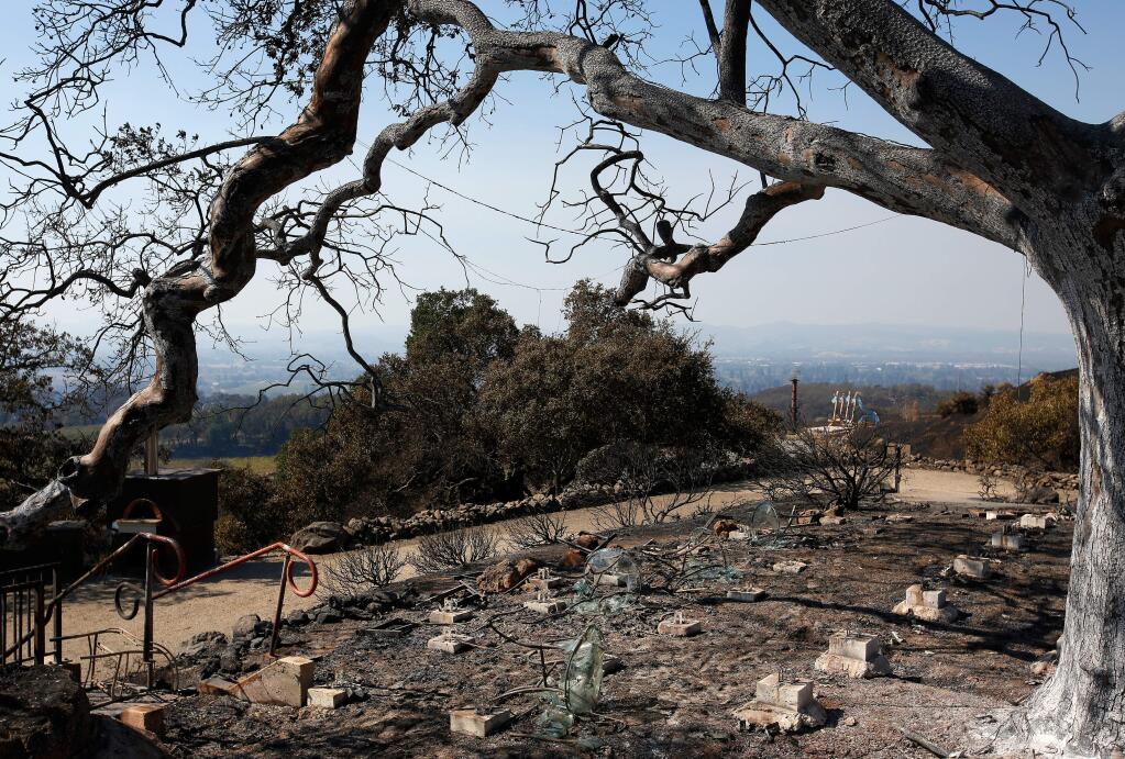 An open wooden patio once sat beneath the sprawling branches of the oak tree at entrance to the Paradise Ridge Winery tasting room, in Santa Rosa, California, on Thursday, October 12, 2017. The winery was destroyed by the Tubbs fire, including some of the surrounding vineyards and sculpture gardens, three days earlier. (Alvin Jornada / The Press Democrat)