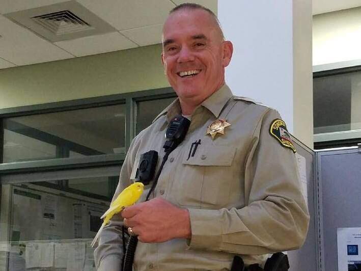 Deputy Jon Anderson and the lost parakeet in a photo posted to the Sonoma County Sheriff's Facebook page on Friday, June 30, 2017. (SONOMA COUNTY SHERIFF'S OFFICE/ FACEBOOK)