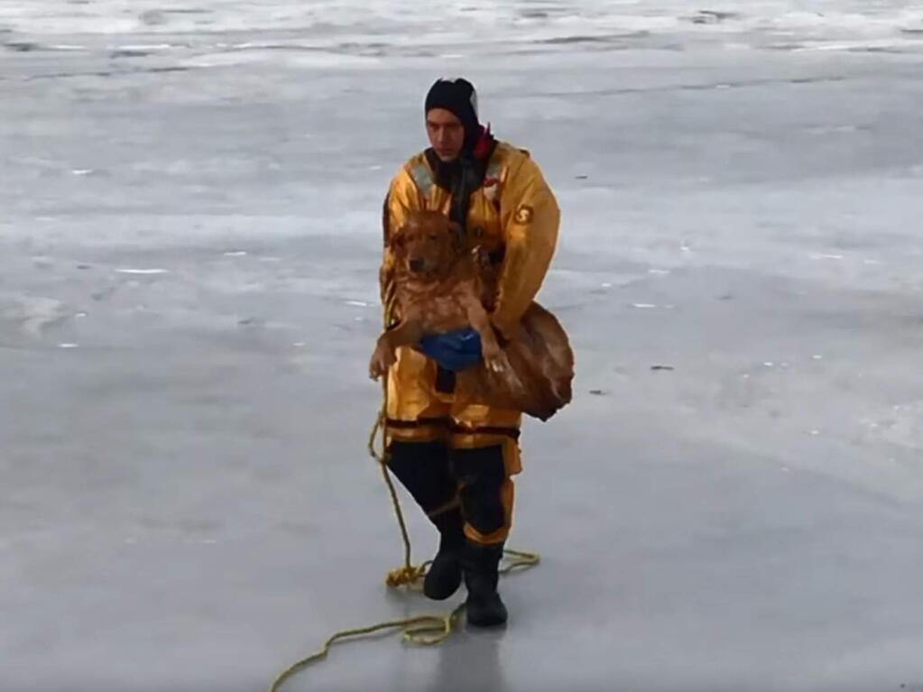 Firefighters rescued a dog that fell in the ice of White Lake in Michigan, Wednesday, Dec. 28, 2016. (YOUTUBE)