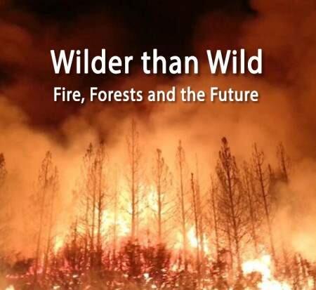 Filmmaker Kevin White's documentary on wildfires will be screened at Sebastiani Theatre in Sonoma.