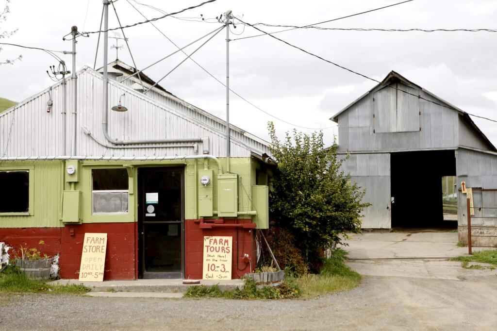 The farm store is open daily from 10 A.M. to 5 P.M. at Tara Firma Farms in Petaluma, California on Thursday, April 12, 2012. (BETH SCHLANKER/ The Press Democrat)