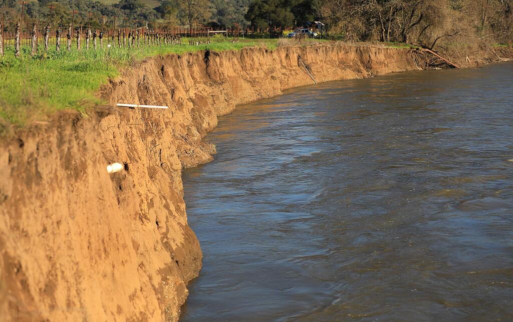 The Russian River eats away at the east side of the river bank at River Road in Geyserville, Tuesday, Feb. 5, 2019, encroaching on a vineyard and putting the road at risk for collapse. (Kent Porter / The Press Democrat)