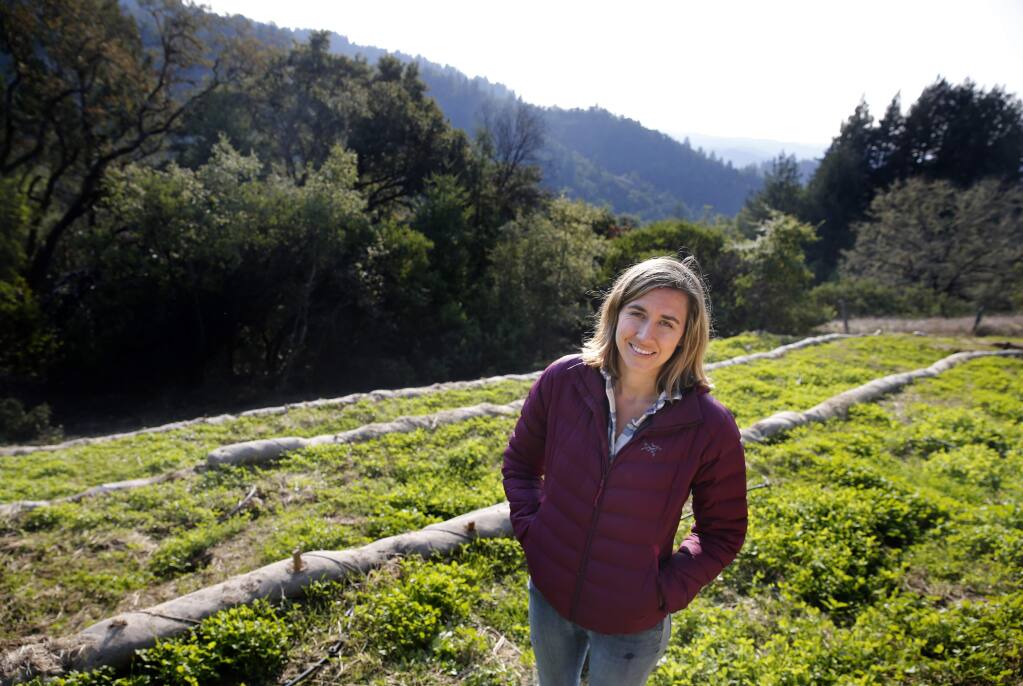 Keala Peterson stands in a small terraced field where she grows marijuana at Sweet Creek Farm in Guerneville, on Wednesday, December 13, 2017. . (BETH SCHLANKER/ The Press Democrat)