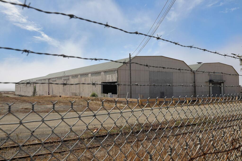 Two large drying sheds still remain on the site of the former Georgia-Pacific Mill in Fort Bragg on Friday, September 14, 2018. (Christopher Chung/ The Press Democrat)