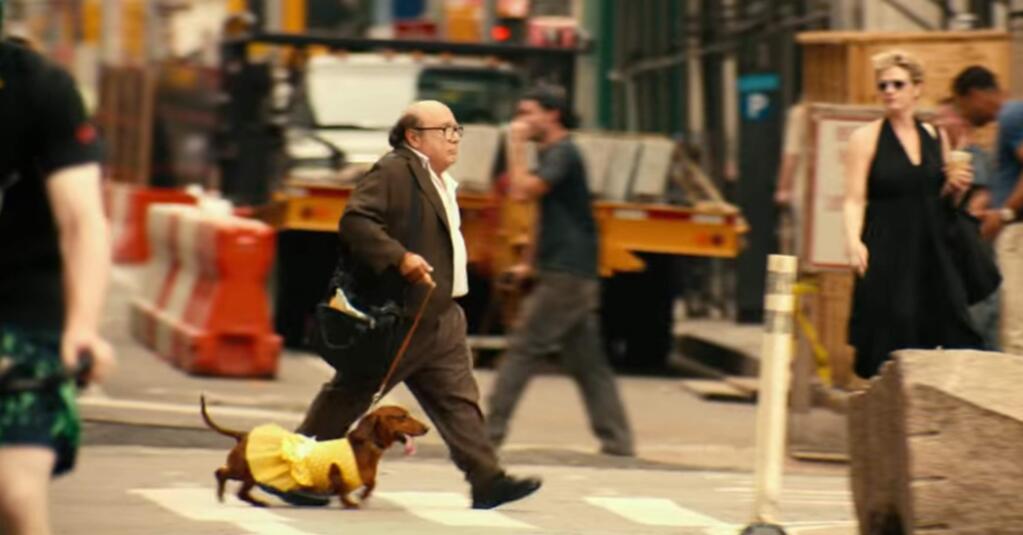 Danny DeVito as Dave Schmerz in 'Wiener-Dog,' a comedy about various people whose lives are affected by a dachshund. (Annapurna Pictures)
