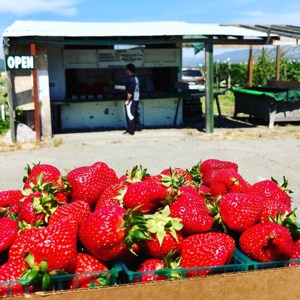 The strawberry stand on Watmaugh Road is now open for the season.