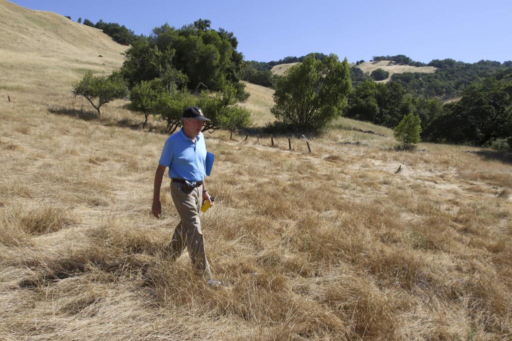 Petaluma City Council Member Mike Healy walks through tall grass as he leads a tour of Lafferty Ranch on Monday morning July 3, 2017. Scott Manchester/For The Argus-Courier