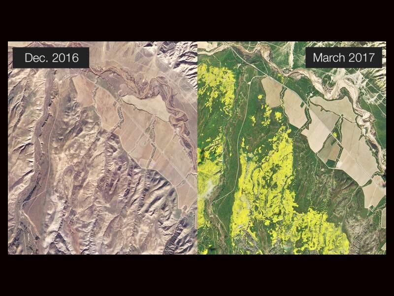 Before North of Los Padres National Forest on December 3, 2016. After The same location on March 27, 2017. (Planet Labs)