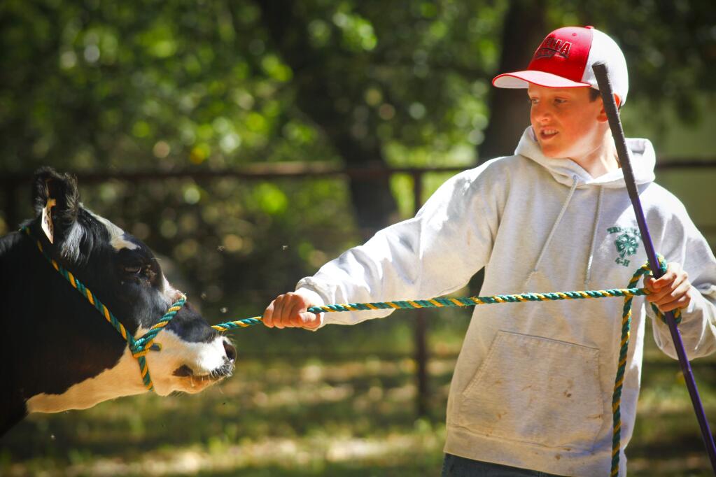 Petaluma, CA. Sunday, May 31, 2017._ Tucker Pacette, 12 of Santa Rosa, participates in the Tri-Valley 4H workshops, held at the Pomi Ranch in Petaluma. (CRISSY PASCUAL/ARGUS-COURIER STAFF)