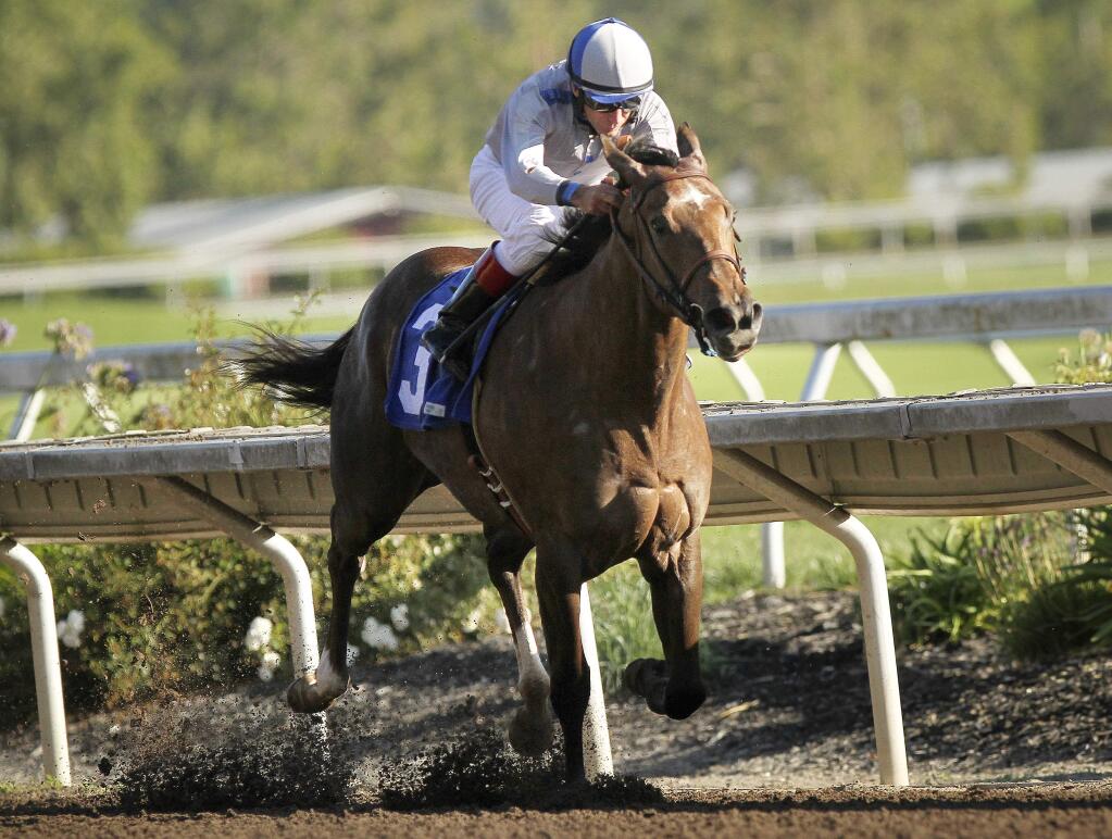 Jockey Russell Baze and his horse Seduire break away from the rest of the field to win the Wine Country Debutante Stakes race on Friday at the Sonoma County Fair. (CONNER JAY / The Press Democrat)