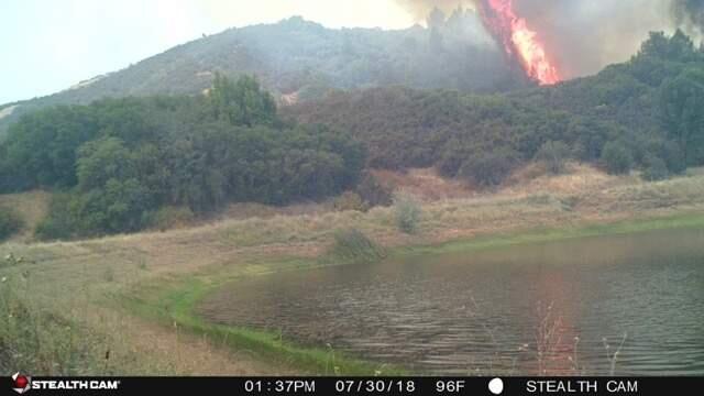 The River fire moves over the hill towards Todd Lehman's ranch property on July 30, in an image captured on Lehman's now-melted game camera. The River fire has scorched nearly 50,000 acres and is now 58% contained. (Photo courtesy of Todd Lehman)