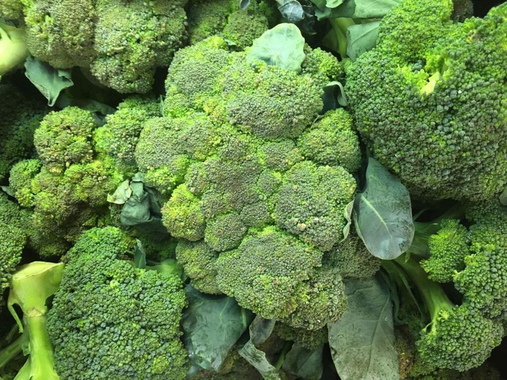 August and September are good months to get your fall garden going with goodies like broccoli, kale and Brussels sprouts. (The Press Democrat, file)
