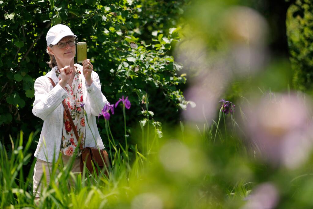 Sarah Pierpoint of Santa Rosa snaps a photo of some colorful flowers on a docent-led tour of Quarryhill Botanical Garden, which is a fundraiser for Santa Rosa Symphony's music education programs, in Glen Ellen, California, on Wednesday, May 22, 2019. (Alvin Jornada / The Press Democrat)