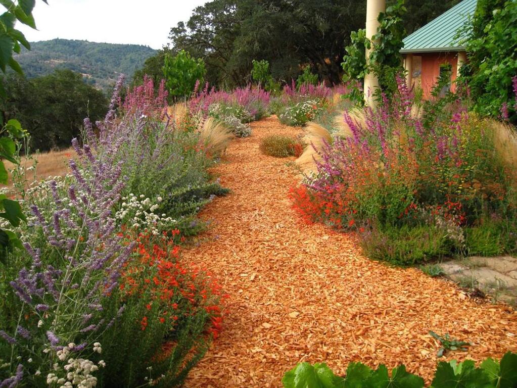 Rethink your garden to make it more resilient. This garden is bee-friendly with Russian sage, California fuchsia, caryopteris, agastache, lavender, thyme and yarrow. Permeable surfaces allow groundwater to be replenished. (Kate Frey)