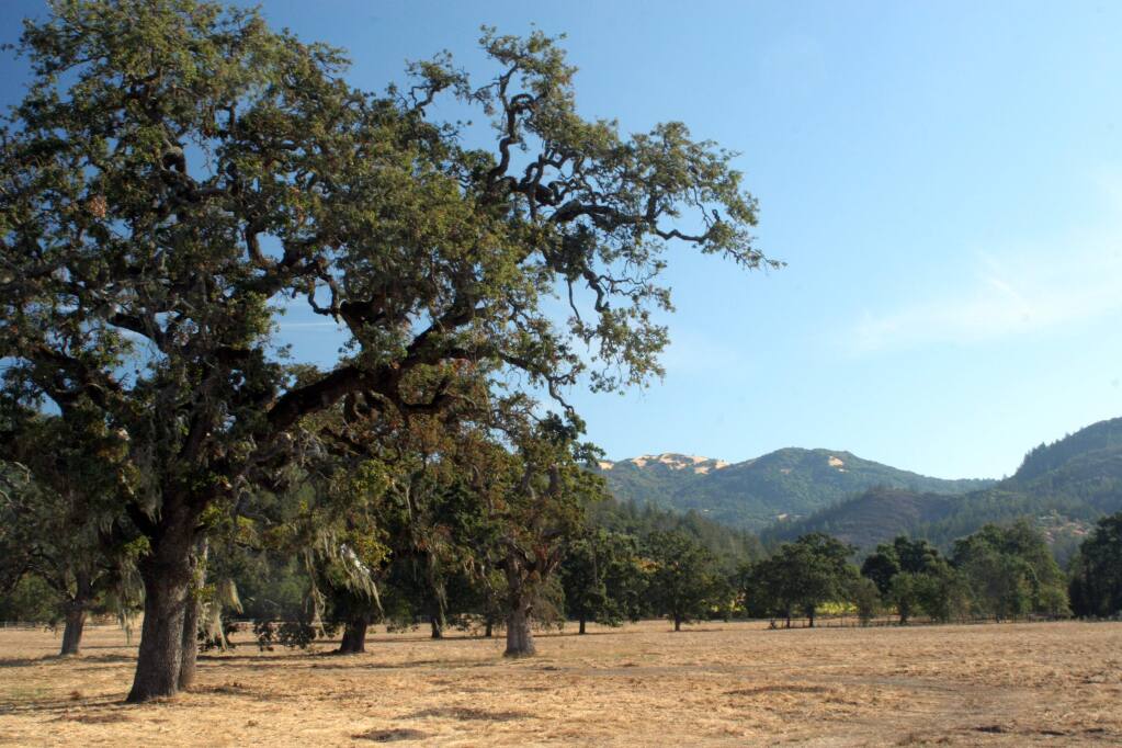 The former La Campagna property, soon to be developed into a Kenwood luxury resort by Yucaipa Companies under a 2004 permit.
