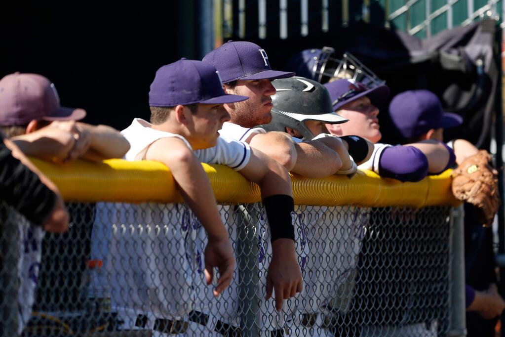 The Trojans watch the game from their dugout in this Press Democrat file photo taken during NCS Division 2 first-round baseball tournament game between Montgomery and Petaluma high schools, in Petaluma, California on Wednesday, May 25, 2016. (Alvin Jornada/The Press Democrat, 2016)