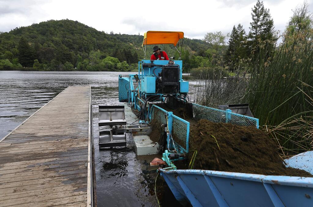 Photos by Chirstopher chung / The press DemocratJohn Sarmiento of Waterworks Industries unloads azolla from an aquatic weed harvester at Spring Lake in Santa Rosa on Wednesday. The aquatic plant commonly grows on small lakes and reservoirs. It's unsightly but generally harmless to humans.
