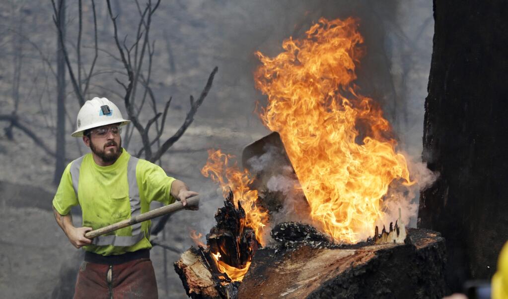 Caltrans maintenance worker Michael Quinliven shovels dirt onto a burning stump so he can cut down the charred ponderosa pine next to it Monday, Sept. 14, 2015, in Middletown, Calif. Utility crews worked to remove fire-damaged trees that took down power lines and threatened further damage following a wildfire there two days earlier. Two of California's fastest-burning wildfires in decades overtook several Northern California towns, killing at least one person and destroying hundreds of homes and businesses and sending thousands of residents fleeing highways lined with buildings, guardrails and cars still in flames. (AP Photo/Elaine Thompson)
