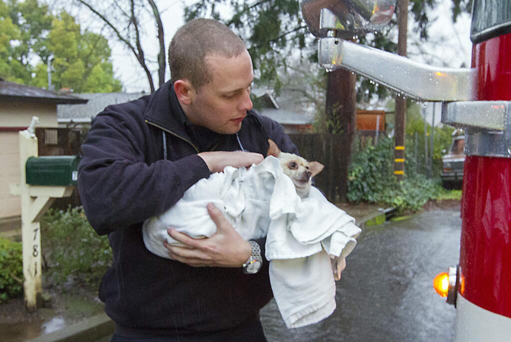 Photos by Robbi Pengelly/Index-TribuneSonoma Valley paramedic intern Andrew Wayda holds a Chihuahua named Woody after it was rescued from a house fire on Ernest Drive Wednesday.