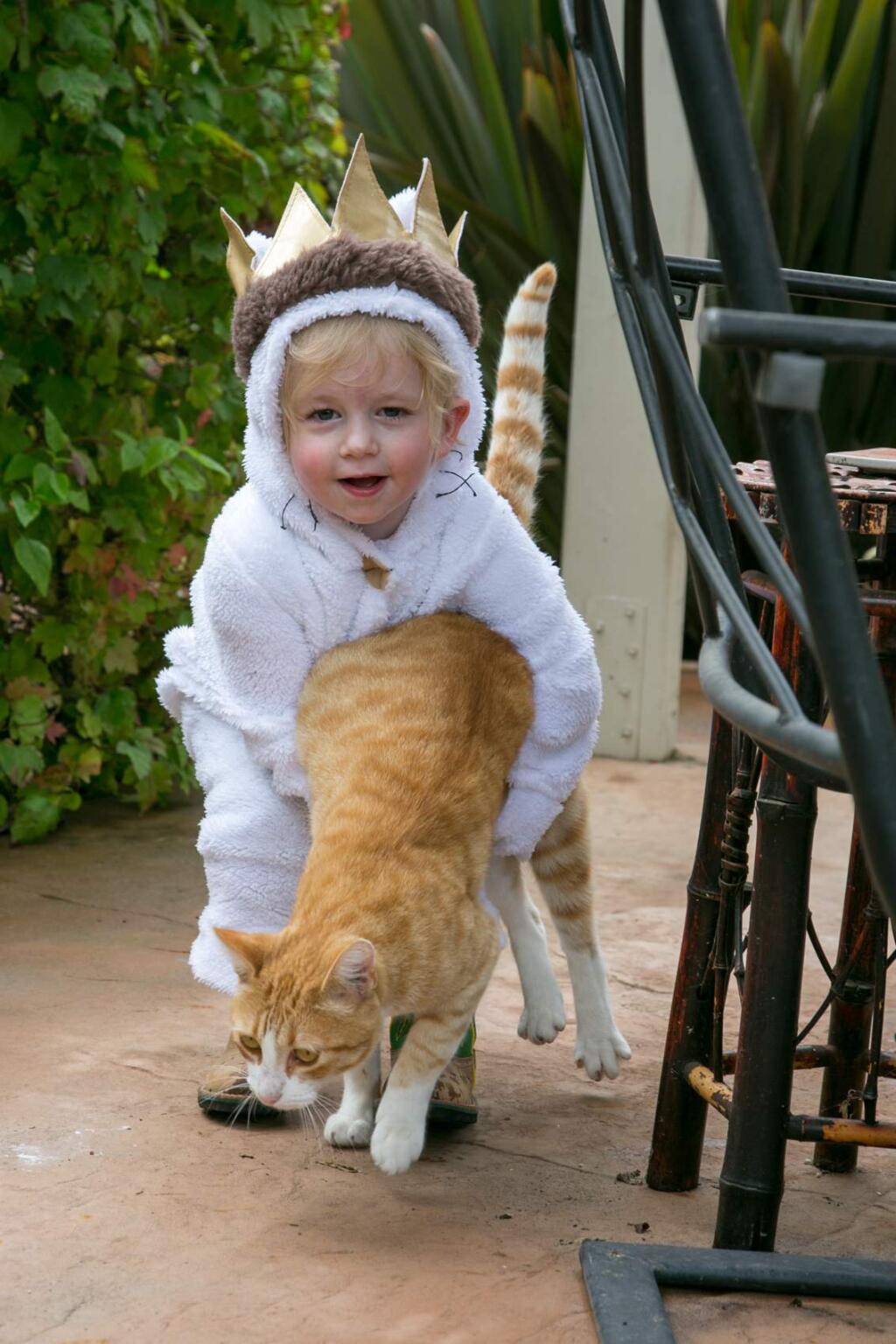 Jack Yankee in his Halloween costume as Max from 'Where the Wild Things Are' at home in Sonoma Thursday, Oct. 27, 2016. (Photo by Julie Vader/special to the Index-Tribune)