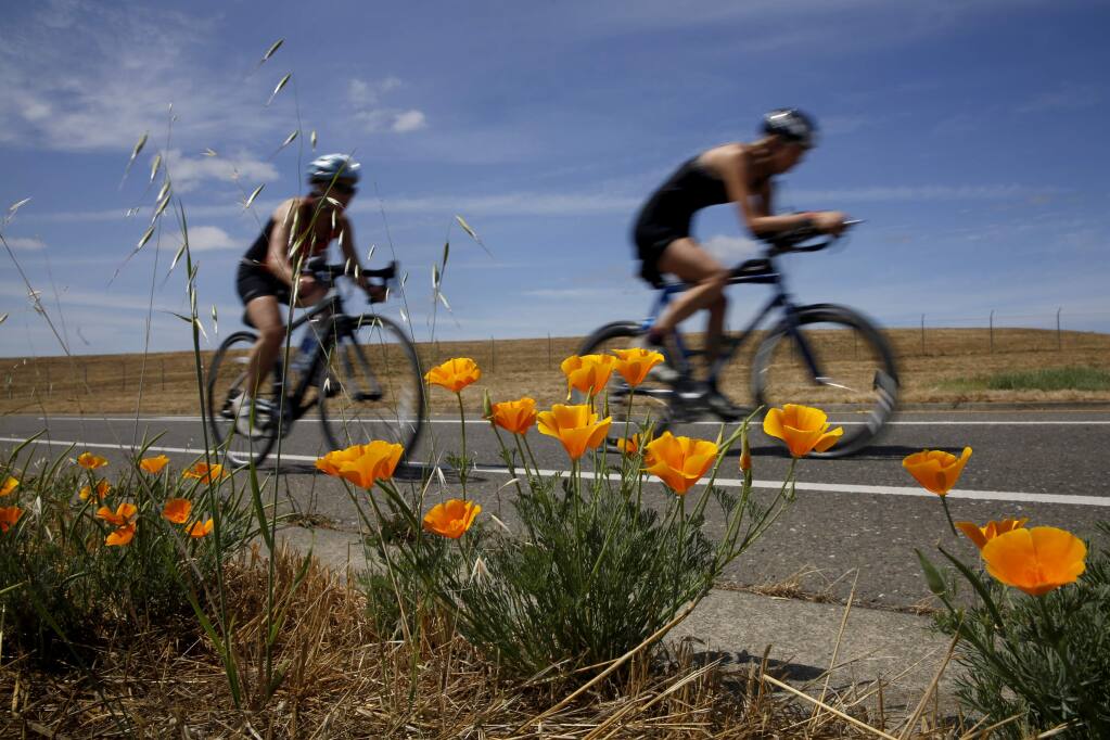Cyclists compete during the IRONMAN 70.3 Vineman Triathlon on Sunday, July 12, 2015 in Windsor, California . (BETH SCHLANKER/ The Press Democrat)