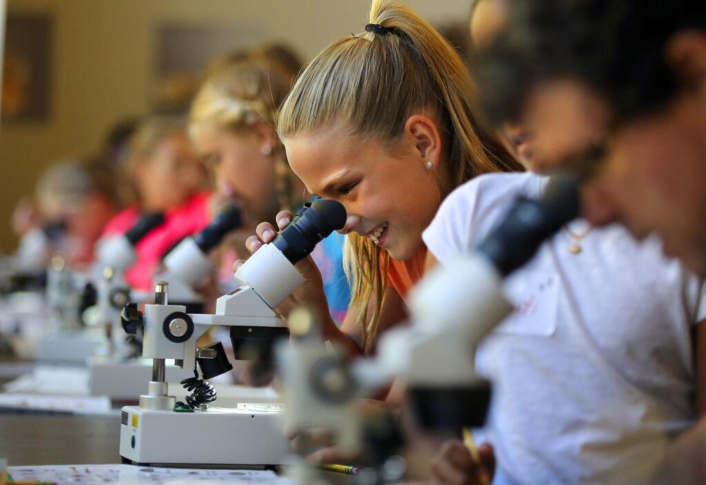 TINY TARGETS: Austin Creek fifth-grader Ella Nixon, 11, peers through a microscope Friday to view invertebrates from the Russian River during the first education program at the new Westside center.