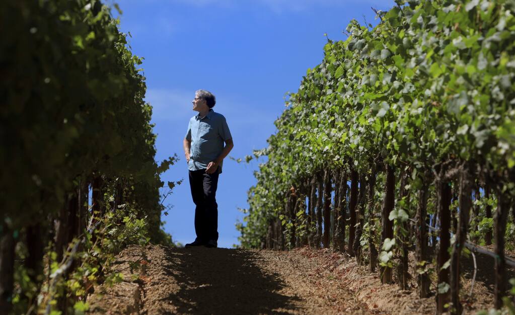 KENT PORTER / The Press DemocratPhillip Corallo-Titus, winemaker at Napa Valley's Chappellett in St. Helena, looks over a vineyard in the Russian River appellation in Graton that he sources for making wine.