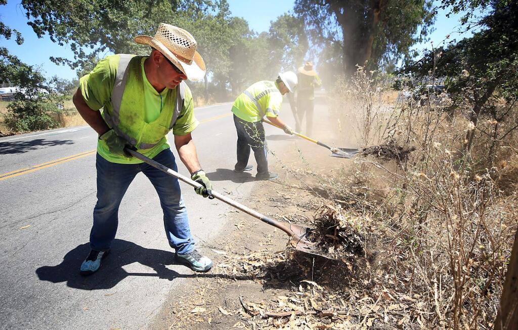 From left, Stuart Levin, Oliver Page and Marcus Hernandez clear brush from the side of Ludwig Road on Santa Rosa's outskirts, as crews make plans to seal and resurface roadways county wide, Monday July 17, 2017. (Kent Porter / Press Democrat) 2016