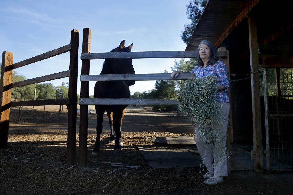 Linda Davis with her horse Minuet on property she leases from Caltrans behind her home in Santa Rosa, on Thursday, October 8, 2015. (BETH SCHLANKER/ The Press Democrat)