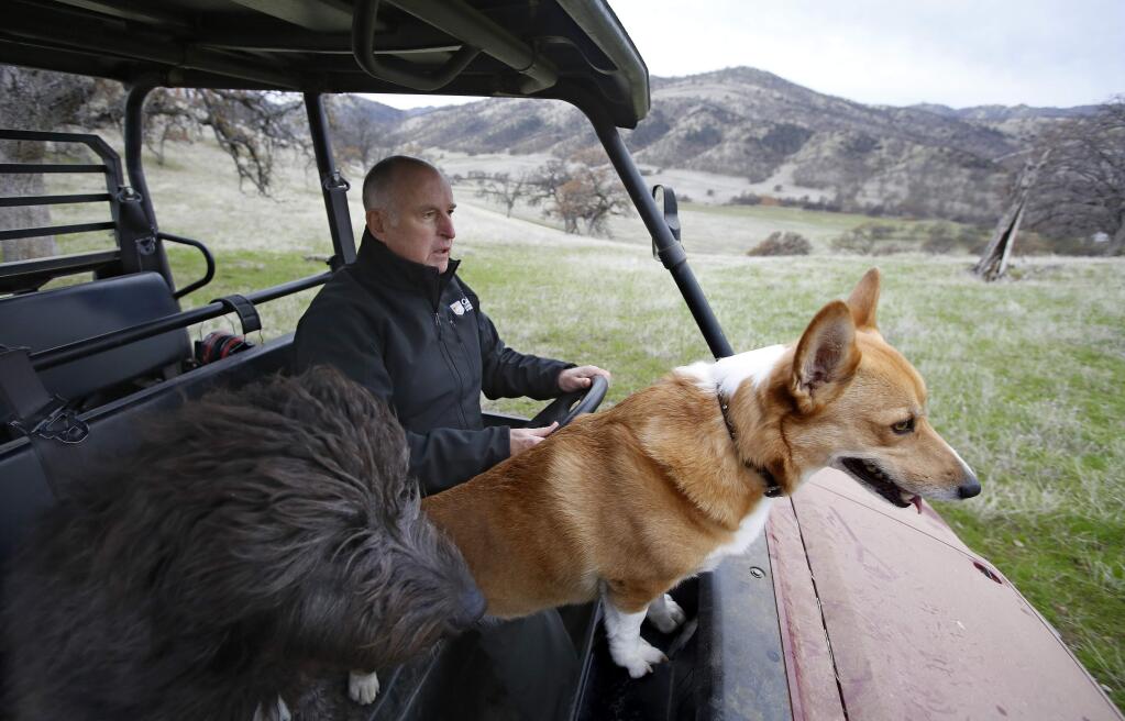 In this Saturday, Dec. 22, 2018, photo, Gov. Jerry Brown tours his Colusa County ranch accompanied by his dogs Cali, left, and Colusa near Williams, Calif. Brown will retire to the ranch when he leaves office Jan. 7, 2019, after a record four terms in office, from 1975-1983 and again since 2011. (AP Photo/Rich Pedroncelli)