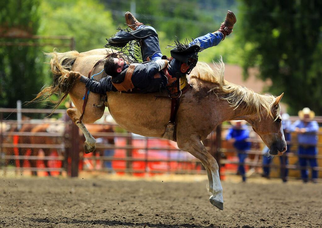 Joey Coleman of Kelseyville is thrown from his horse in the bareback competition at the Russian River Rodeo in Duncans Mills on Saturday. (JOHN BURGESS / The Press Democrat)
