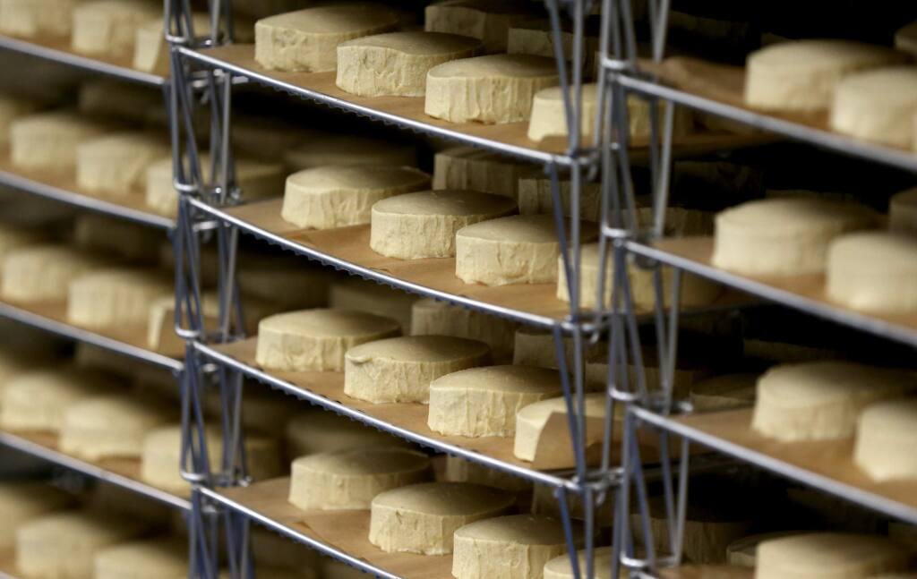 Cheese wheels age in the cooler at Miyoko's Creamery in Petaluma on Monday, Dec. 23, 2019. (BETH SCHLANKER/ The Press Democrat)