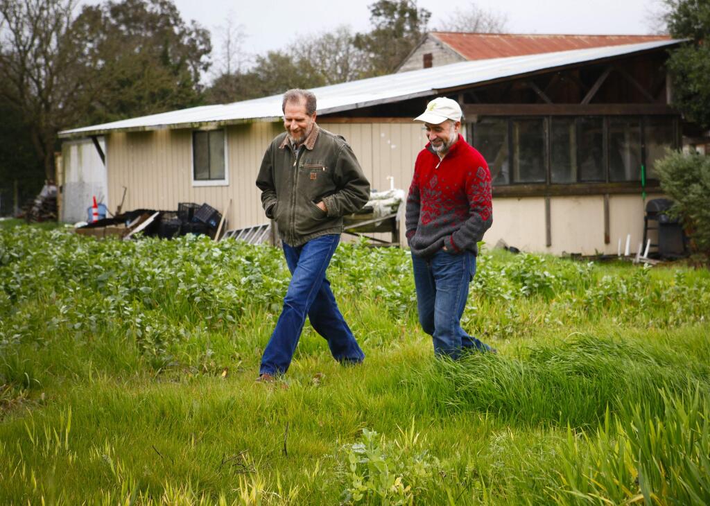 Petaluma, CA, USA. Tuesday, February 07, 2017._ Founders of the Carbon Cycle Institute, Torri Estrada and Jeff Creque check out the soil at the Petaluma Bounty Farm. The institute's mission is to stop and reverse climate change by advancing natural, science-based solutions that remove atmospheric carbon.(CRISSY PASCUAL/ARGUS-COURIER STAFF)