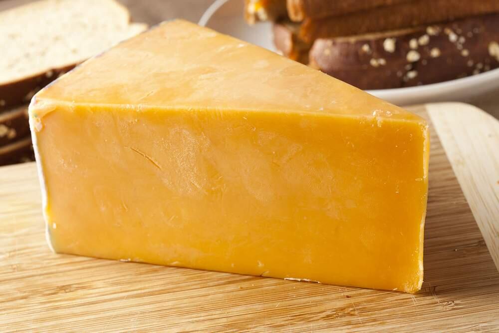 Lactococcus lactis gave mice one more reason to love cheddar; the tumor-reducing qualities of the bacteria would likely come to humans in the form of a pill.