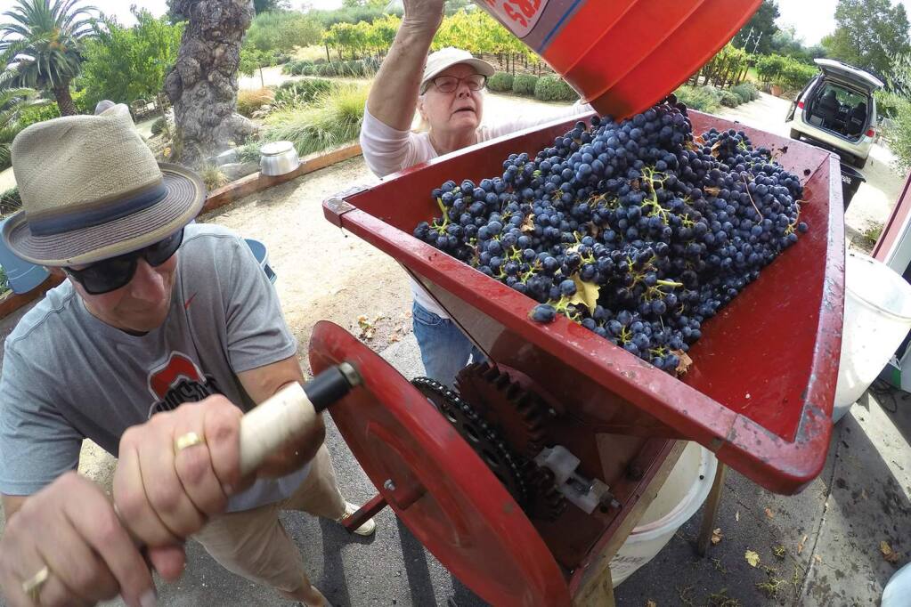 'Tiny Vineyards' is on the big screen Sept. 26 at the Sebastiani Theatre.