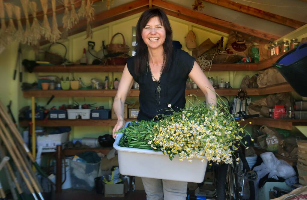 Photographed at Ceres Community Garden in Sebastopol, Naomi Starkman, editor-in-chief of Civil Eats was named a John S. Knight Fellow, Monday June 8, 20, 2015. Writing a blog, Starkman encourages people to think about sustainable agriculture and food systems. (Kent Porter / Press Democrat) 2015