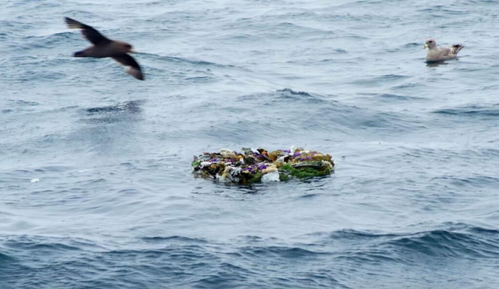 In this July, 2018 photo from video provided by Project Recover, a wreath floats over the wreckage of the stern of the destroyer USS Abner Read during a memorial ceremony in the waters off Kiska Island, Alaska. The Abner Read hit a mine left by the Japanese after they abandoned Kiska Island in Alaska's Aleutian Islands in 1943, ripping the stern off. But the ship never sank and was refitted and returned to duty. Now, 75 years after the ship's 75-foot stern broke off, it has been located off Kiska by a team of scientists funded by the U.S. government. (Project Recover via AP)