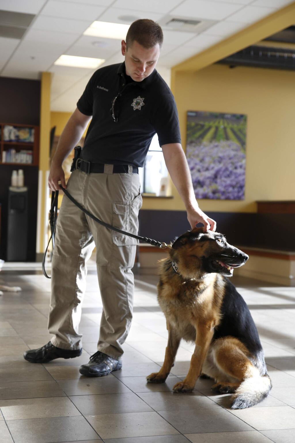 Sebastopol Police K-9 Handler and Sgt. Nick Belliveau waits in the lobby with his dog Frank, who was diagnosed with lymphoma, in order to have Frank's blood drawn at PetCare Veterinary Hospital in Santa Rosa, California on Monday, January 26, 2015. (BETH SCHLANKER/ The Press Democrat)