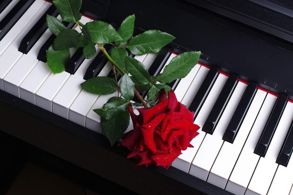 A Valentine's Day celebration for music lovers.