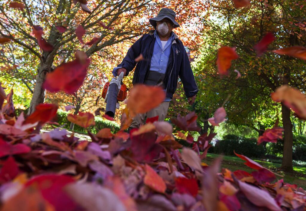 Sonoma led the state by banning gas-powered leaf blowers in 2016. (Robbi Pengelly/Index-Tribune)