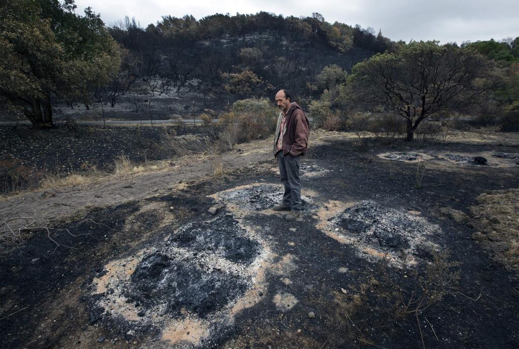 Hector Alvarez stands amidst several of the 52 bee hives on Lovall Valley Road that were lost to the recent fires. Each of the squares held four hives. (Photo by Robbi Pengelly/Index-Tribune)