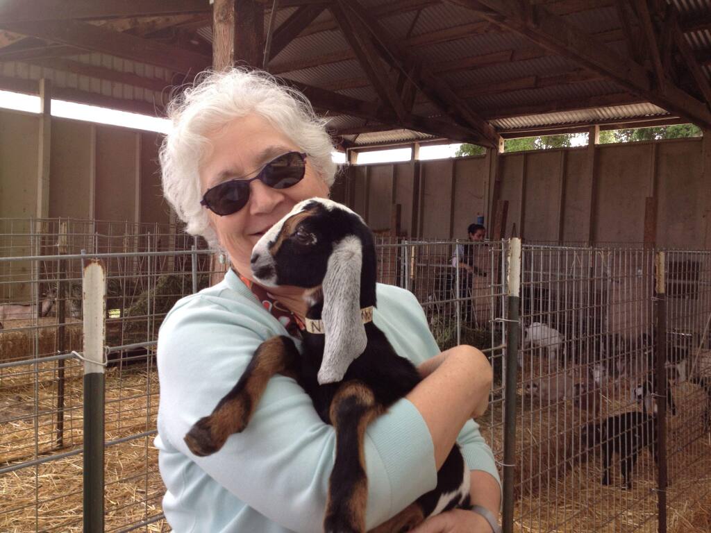 Jennifer Bice, owner of Redwood Hill Farm holds a baby Nubian goat.