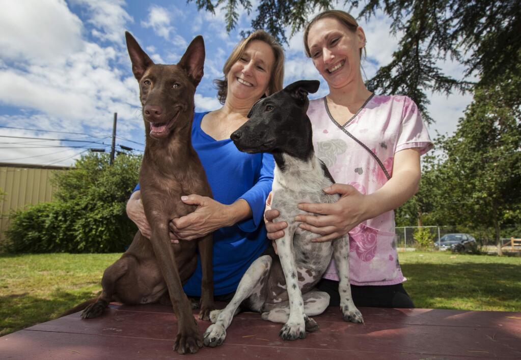 Thai sisters Sienna and Oreo with Nancy King, executive director of Pet's Lifeline, and adoption specialist Shoshana Brown (Photos by Robbi Pengelly/Index-Tribune)