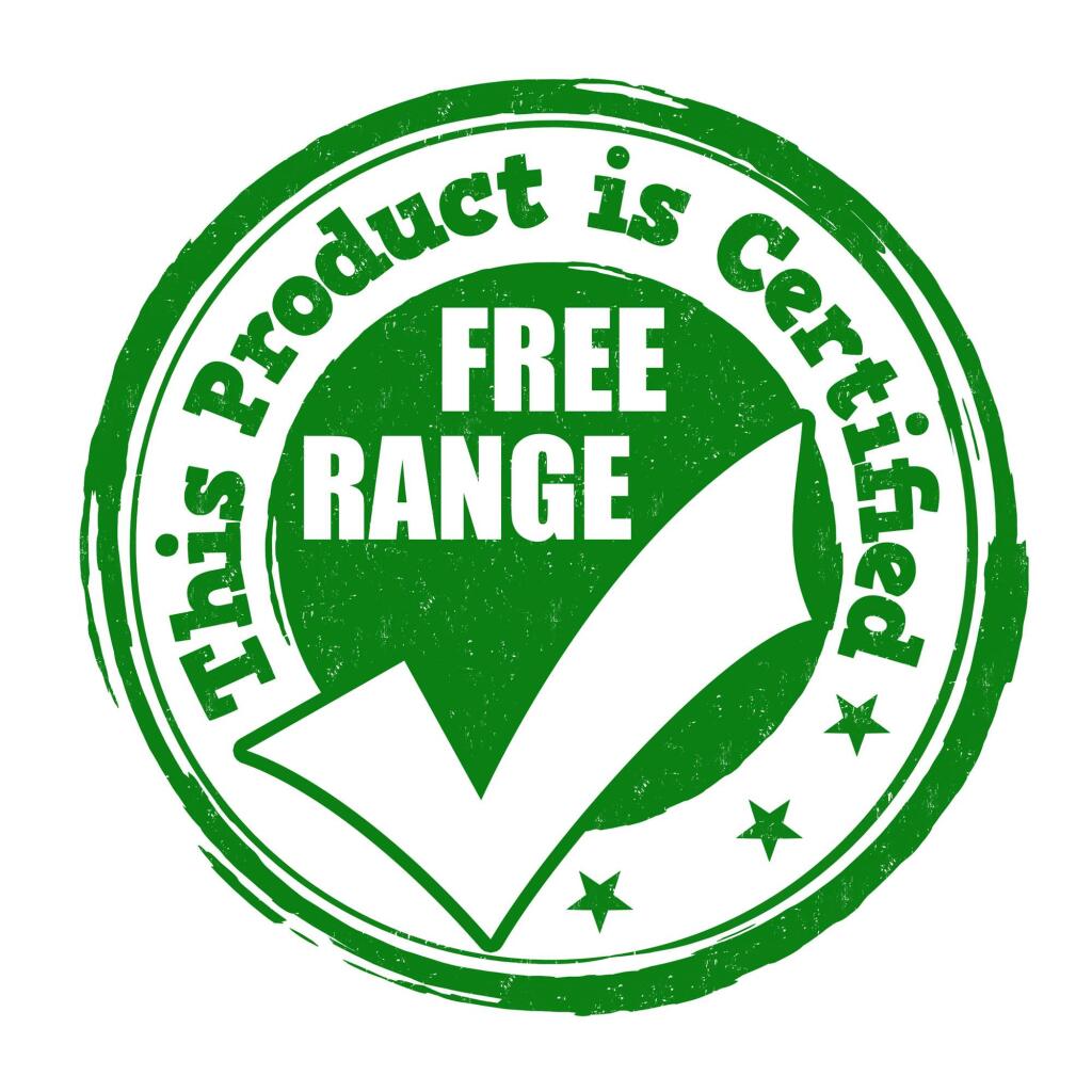 free range egg