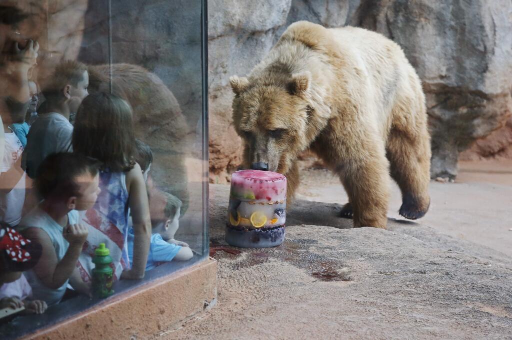 FILE - In this Friday, July 26, 2019 file photo, visitors watch as Will, one of the grizzly bears at the Oklahoma City Zoo comes out for a frozen treat during an early celebration of Smokey Bear's 75th birthday in Oklahoma City. Smokey Bear was born on Aug. 9, 1944, when the U.S. Forest Service and the Ad Council agreed that a fictional bear would be the symbol for their joint effort to promote forest fire prevention. (AP Photo/Sue Ogrocki)